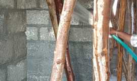 WhatsApp Image 2023-03-22 at 20.15.36 (2)