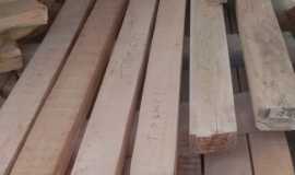 WhatsApp Image 2023-03-22 at 20.15.45