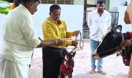 WhatsApp Image 2024-09-10 at 13.48.20 (5) (Copy)