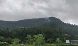 WhatsApp Image 2019-06-14 at 11.59.50