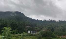 WhatsApp Image 2019-06-14 at 11.59.56