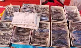 WhatsApp Image 2021-09-19 at 10.15.10 (1)